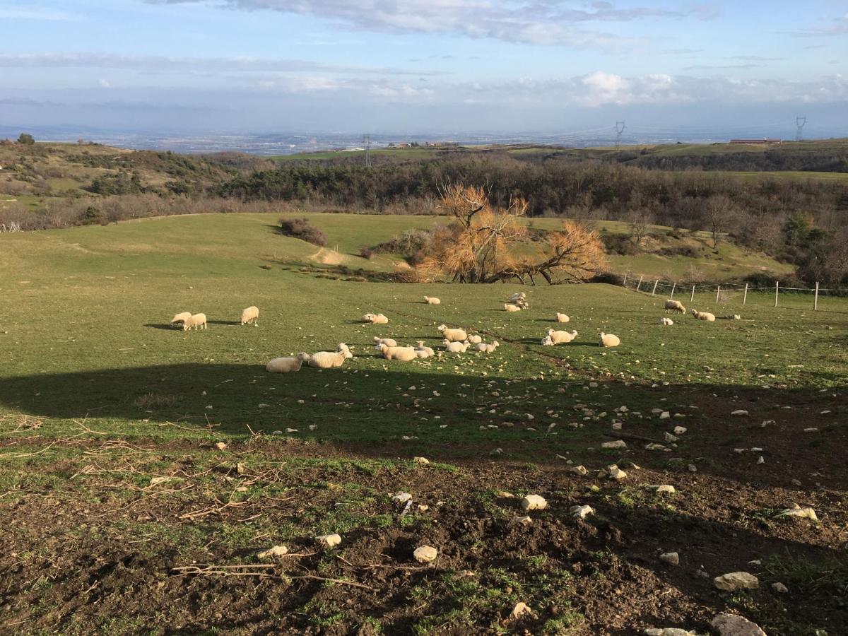 Ferme De Simondon Plats Exterior foto